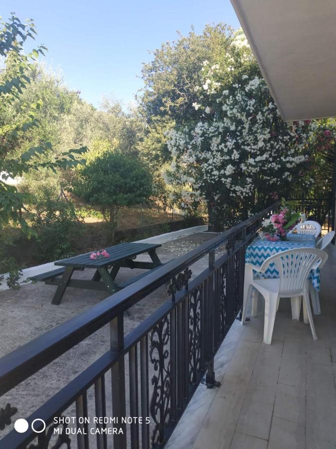 Dassia Green Apartments Екстериор снимка
